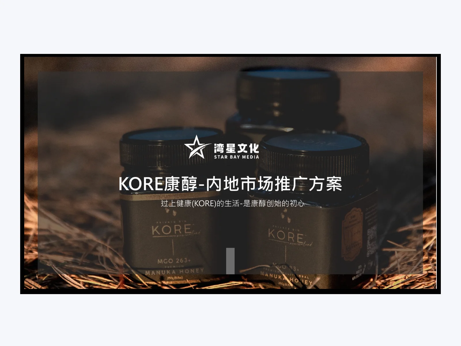 KORE 康醇內地市場推廣方案案例