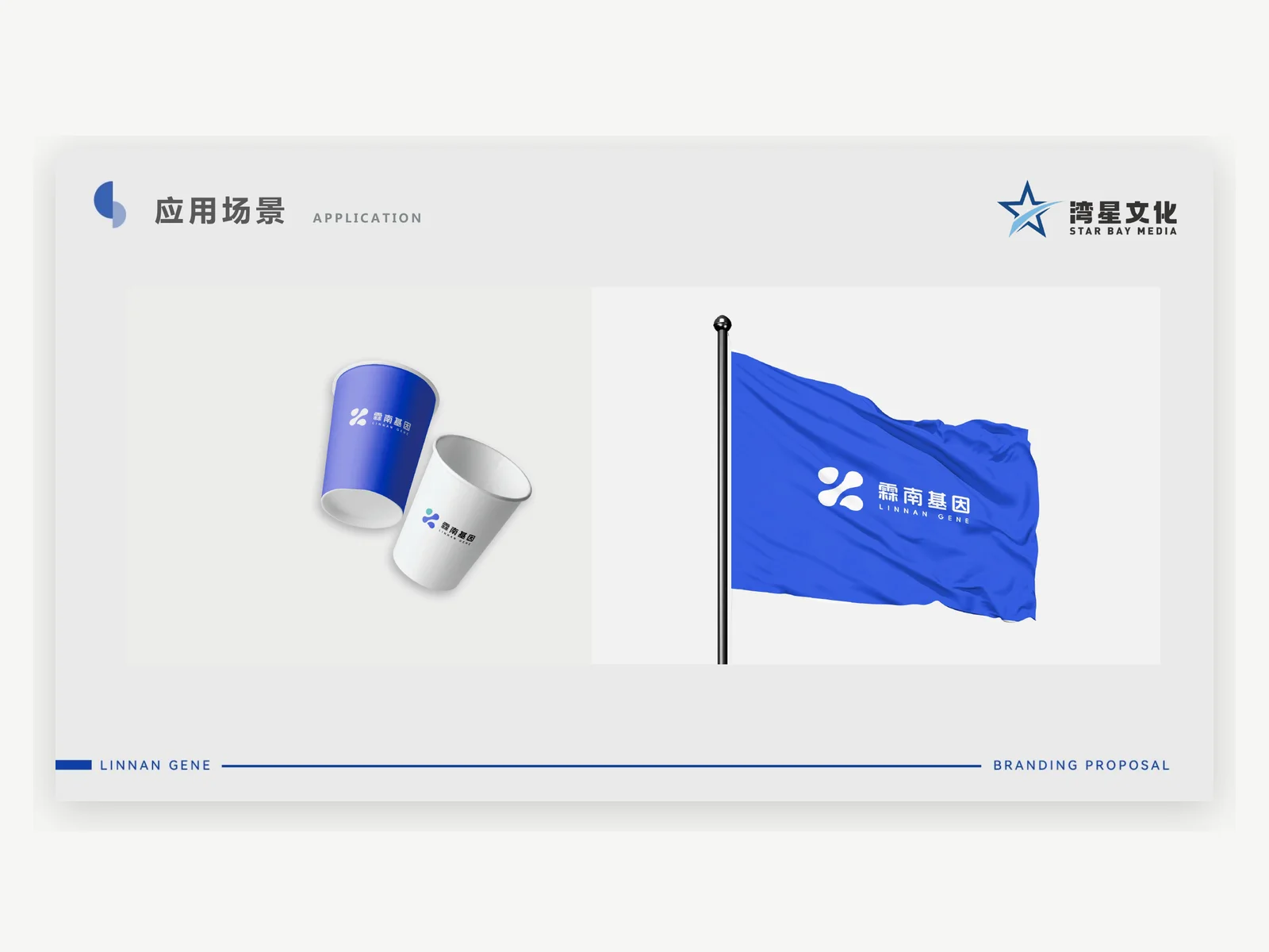霖南基因品牌應用物料案例